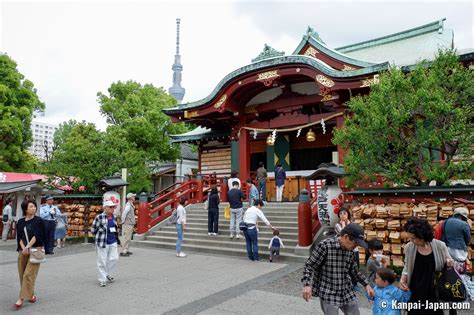 ライフ亀戸チラシ - 日常の小さな発見と地域の絆